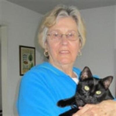 Diane M Toth