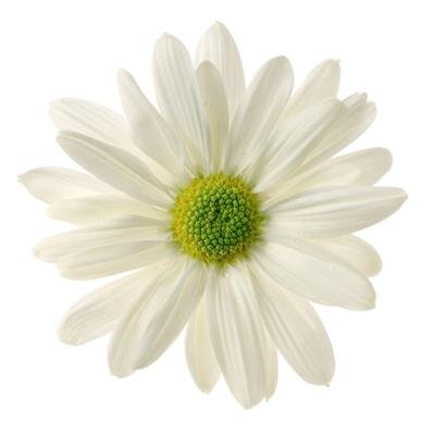 Carr, Linda Marie