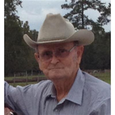 Robert Williams