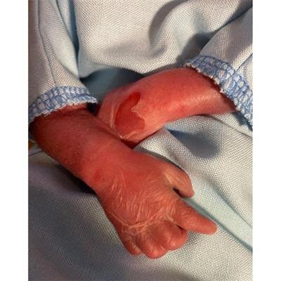 Nolan Noel Tippins