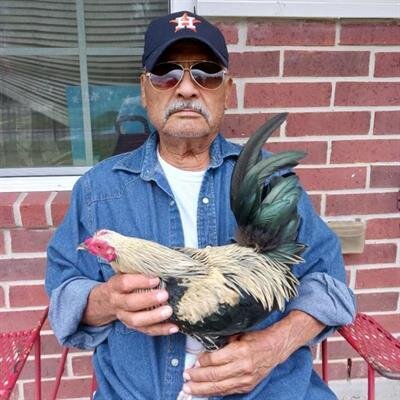 Lopez, Jose Davila
