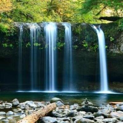 DiFrank, Jamie Ronald