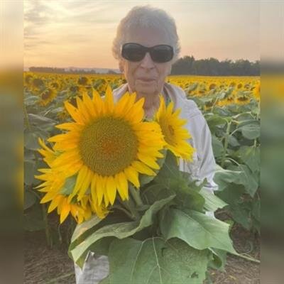 Nancy L Hollar