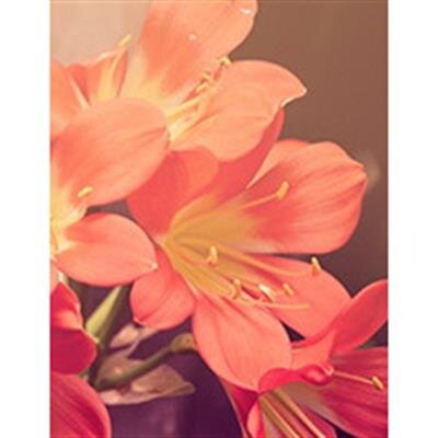 Marilyn Lou Burns