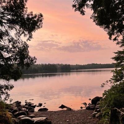 Mr. Dennis Michael McGee