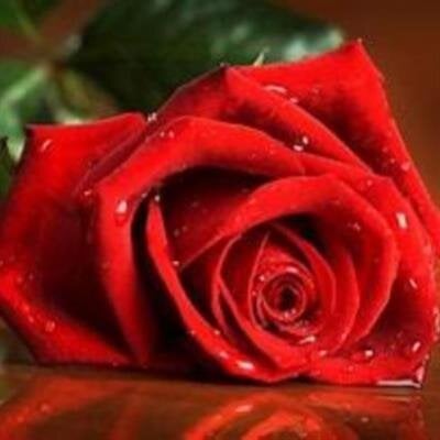 Carlos L Pino Sabido