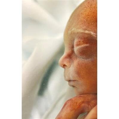 Braven Lee Pearcy