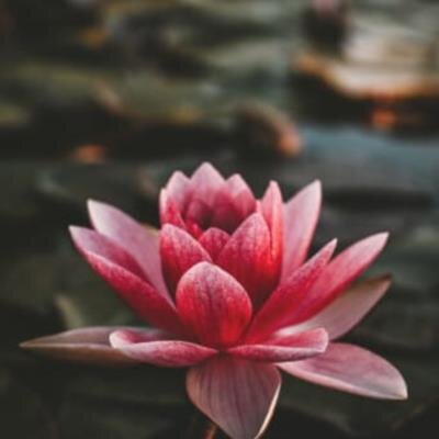 Jeffrey Eugene Raley