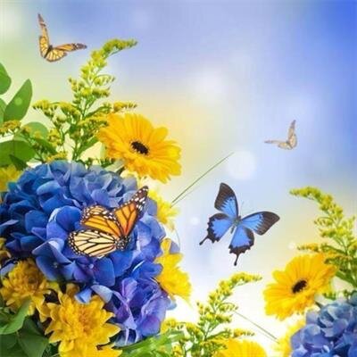 Shirley Franks