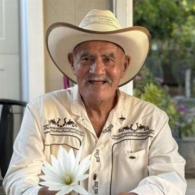 Luis R Dominguez