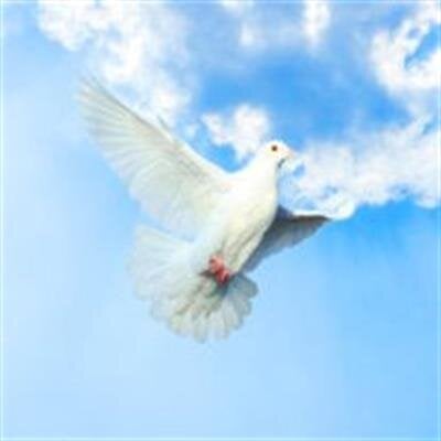 Walter Edward Tasler