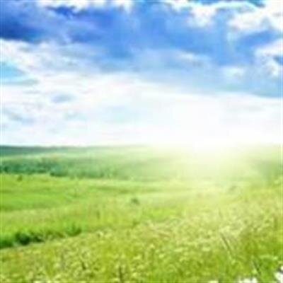 Jose Guadalupe Berrones