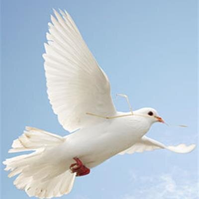 Richard Allen Merrifield