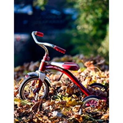 Verda Elaine Webster