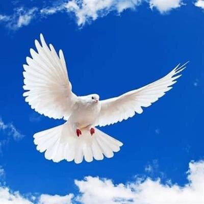 Hugo Enrique Cortez Bermudez