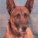 Kilo Dulworth