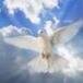 Infant Service of Remembrance .