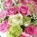 Mrs. Mary Fatima Elkins