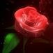 Rose Eileen Giordano