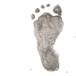 Colton Daniel Maxwell