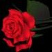 Mrs Linda Gail Murphree Kelsoe