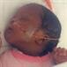 Baby Girl Kaleyah Denise "Chocolate" Leak