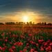 Ruth L. Ratcliffe