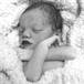 Rocky Joseph Viviano