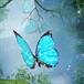 Linda Goins