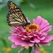 Debra L. Neidert