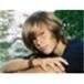 STEPHEN NEIL DYSINGER