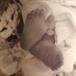 Infant Roslyn Brooke Wilson