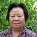 Tung F. Li