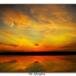 Patricia L Smith