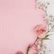Debra L. Whitecotton