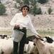 Shirley Jean Harkness