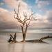 Guy H Yamane
