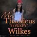 Mr. Thaddeus Wilkes