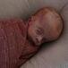 Lilly Grace Stewart (Bolivar)