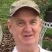 Paul B Hayes