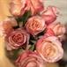 Marjorie Jones