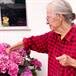 HEDY SUE ALCON