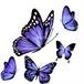 Christine Karen Charles