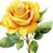 Shirley Watson Braswell
