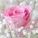 Connie Pope Johnson