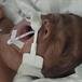 Baby Gjvari Wayne Bristow