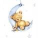 Baby Boy Salas Ortiz