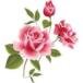 Betty Ruth Duncan Roberts