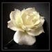 Blanch Tomasene Smith