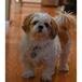 Suki Waddington